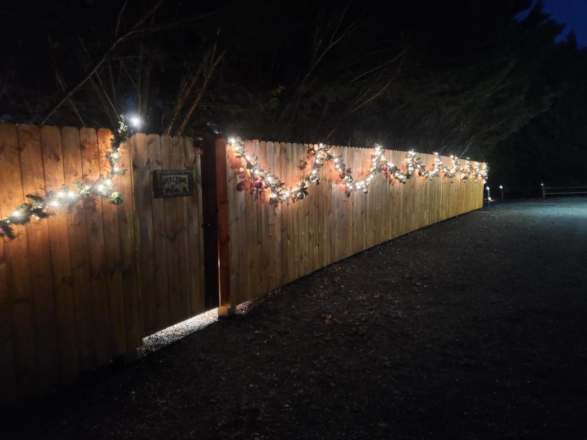 Smoky Mountain Cabin - Hot Tub - Fire Pit เมอร์ฟี ภายนอก รูปภาพ